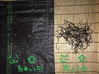 干しぜんまい